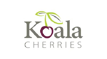 Koala Cherries